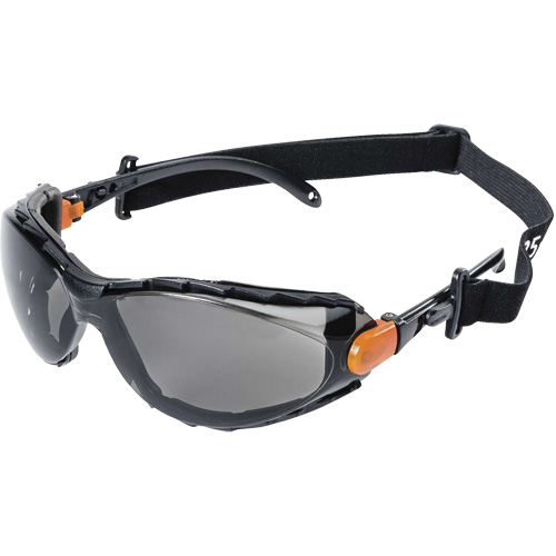 XPS502 Sealed Safety Glasses, Smoke Lens, Anti-Fog/Anti-Scratch Pathway Supply LP