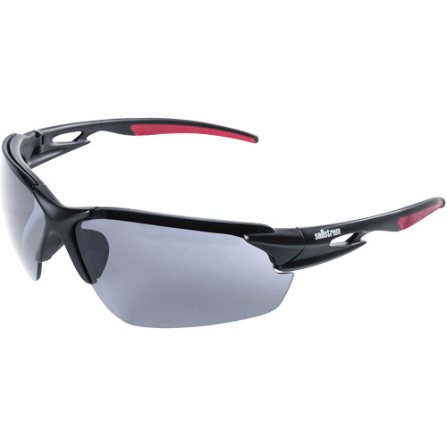XP450 Safety Glasses, Smoke Lens, Anti-Fog/Anti-Scratch Pathway Supply LP