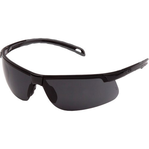 Ever-Lite&reg; Safety Glasses, Dark Grey Lens, ANSI Z87+/Meets/Exceeds CSA Z94.3 Pathway Supply LP