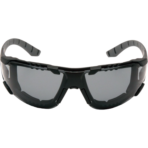 Lunettes de s&eacute;curit&eacute; Endeavor Plus, Lentille Gris, Antibu&eacute;e, ANSI Z87+/R&eacute;pond ou surpasse la norme CSA Z94.3 Pathway Supply LP