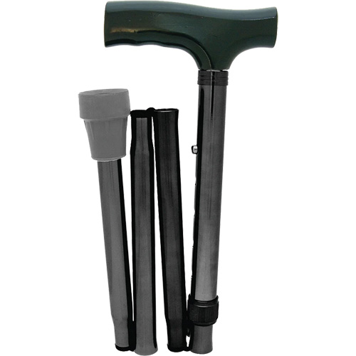 Folding Cane Pathway Supply LP