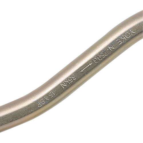 CP-04011-1 Zinc Plated Carabiner with 2" Gate Opening, Steel Pathway Supply LP