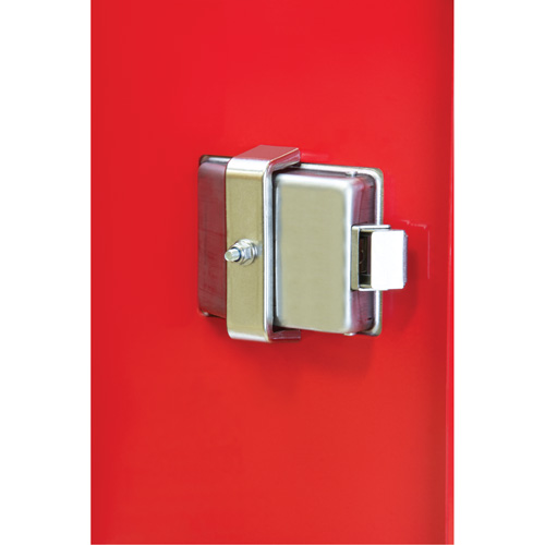 Heavy-Duty Outdoor Fire Extinguisher Cabinet, 14" W x 28" H x 10" D Pathway Supply LP