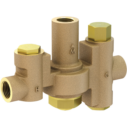 Vanne m&eacute;langeuse thermostatique de moyenne capacit&eacute; pour les douches oculaires et faciales individuelles, 2 - 35,1 gal./min Pathway Supply LP