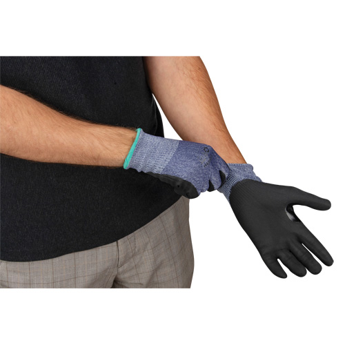 Cut-Resistant Gloves, Size Small, 15 Gauge, Foam Nitrile Coated, HPPE Shell, ASTM ANSI Level A3 Pathway Supply LP