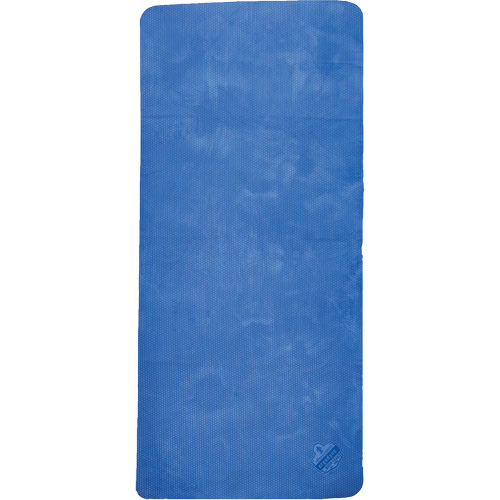 Chill-Its 6601 Economy Evaporative Cooling Towel, Blue Pathway Supply LP
