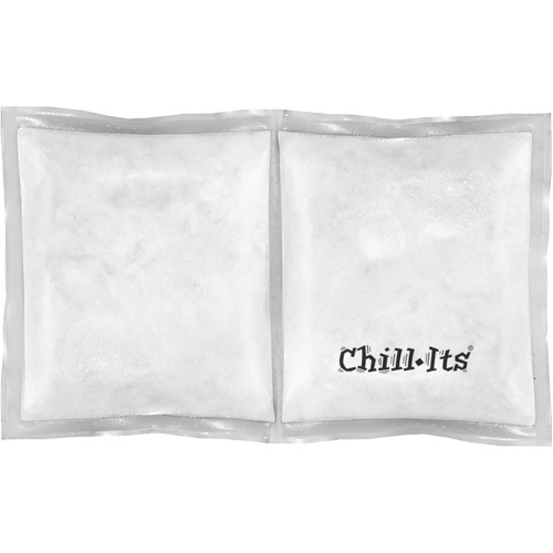 Sachet de refroidissement &agrave; changement de phase r&eacute;utilisable Chill-Its 6283? Pathway Supply LP