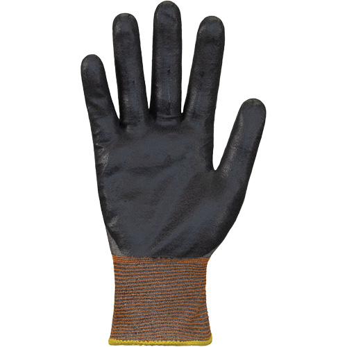 Gants ultras minces r&eacute;sistants &agrave; la coupe Dexterity Max, 8, Calibre 24, Rev&ecirc;tement Mousse de nitrile, ASTM ANSI niveau A6 Pathway Supply LP