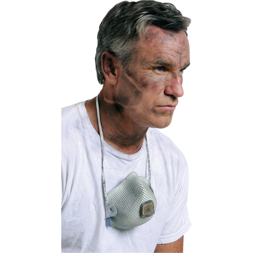 Respirateurs  contre les particules 2700, N95, Certifi&eacute; NIOSH, Grand/Moyen Pathway Supply LP