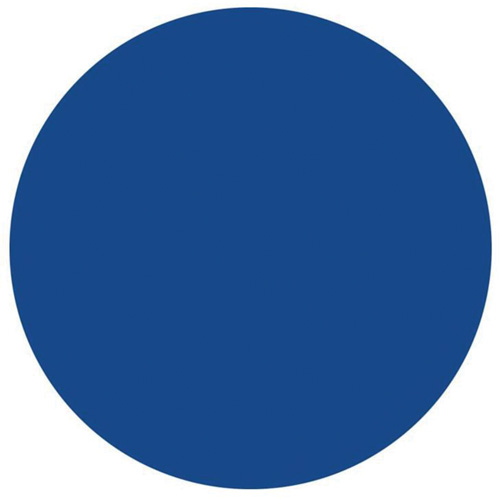 &eacute;tiquettes rondes inscriptibles, Cercle, 1,5" lo x 1,5" la, Bleu Pathway Supply LP