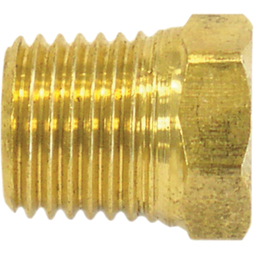 Pipe Plug (Hex Head), 1/2" Dia., Brass Pathway Supply LP