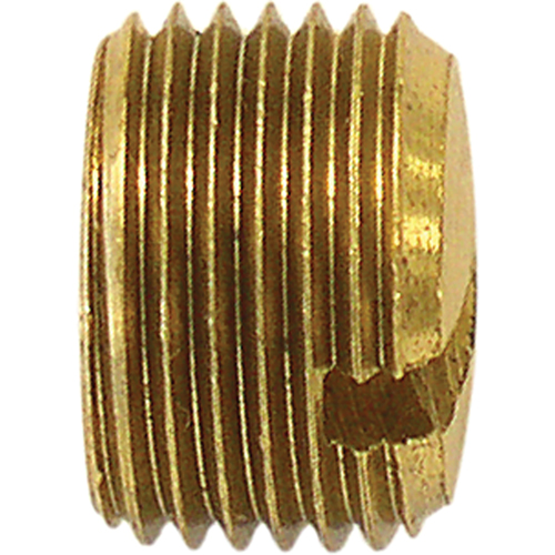 Pipe Plug (Slotted), 1/4" Dia., Brass Pathway Supply LP
