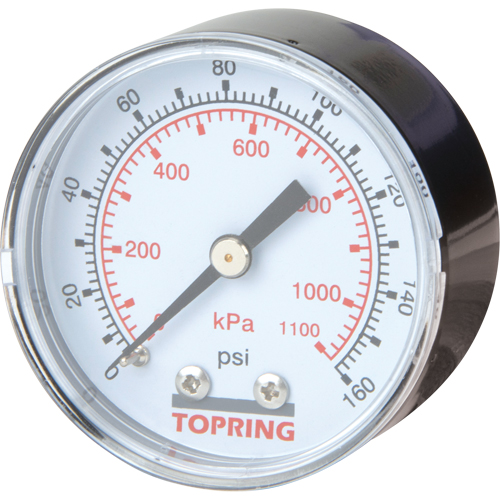 Mini Regulators - Replacement Gauge, 2" , 0 - 160 psi, Back Mount, Analogue Pathway Supply LP