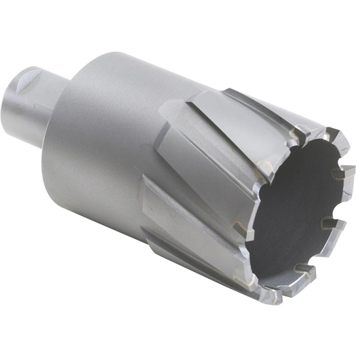 Couteau annulaire avec coupe &agrave; &acirc;me, Diam&egrave;tre de 1/2", Carbure, Profondeur de la coupe de 2", Tige 3/4" Pathway Supply LP