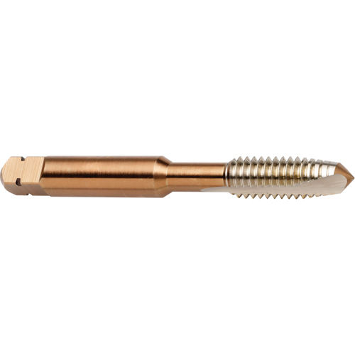 Taraud &agrave; entr&eacute;e h&eacute;licoidale, Acier rapide au cobalt, Filet de 3/8"-16, 2-15/16" l Pathway Supply LP