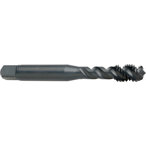 45° Spiral Flute Tap, High Speed Cobalt, M4x0.7 Thread, 53 mm L Pathway Supply LP