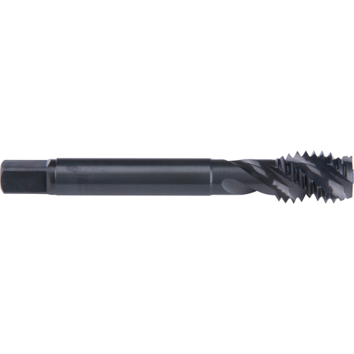 45° Spiral Flute Tap, High Speed Cobalt, 3/4"-10 Thread, 4-1/4" L Pathway Supply LP