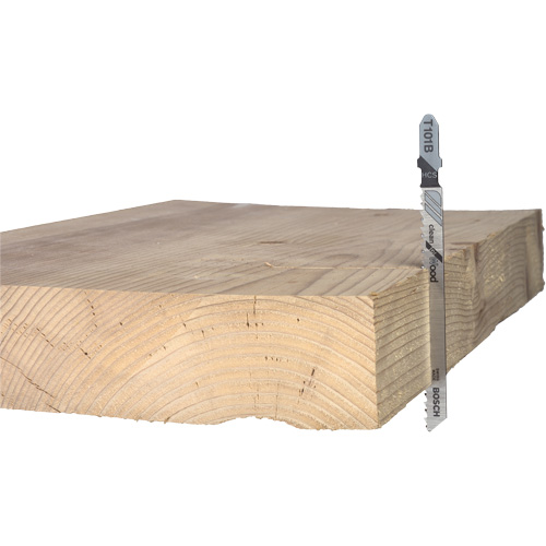 Lame de scie alternative pour la coupe du bois, Acier &agrave; haute teneur en carbone, Tige en T, 4" lo, 10 dents par pouce Pathway Supply LP