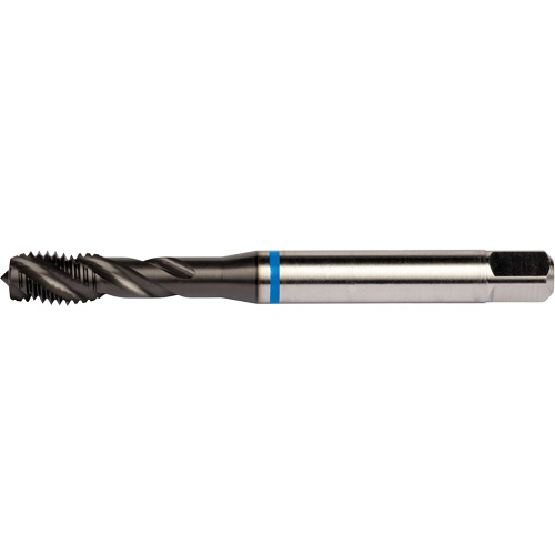 Taraud &agrave; cannelures h&eacute;licoidales Blue Shark, Acier rapide au cobalt, Filet de 1/4"-28, 3,15" l Pathway Supply LP
