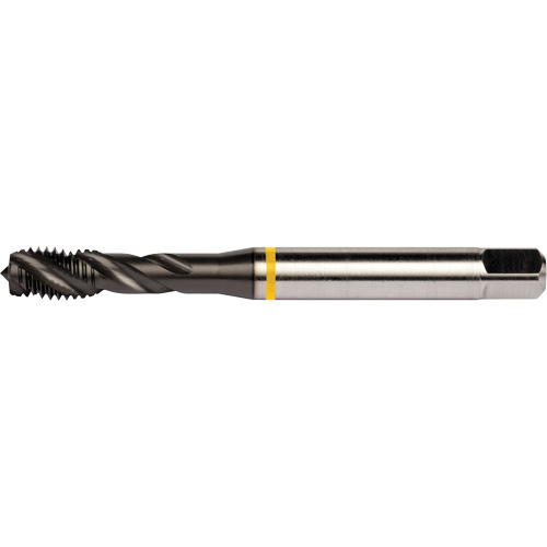 Taraud &agrave; goujures h&eacute;licoidales Yellow Shark, Acier rapide au cobalt, Filet de 7/16"-20, 3,937" l Pathway Supply LP
