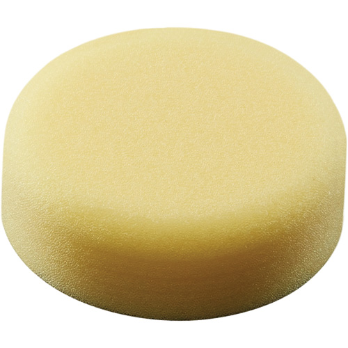 Polishing Pad, 3" Dia. Pathway Supply LP