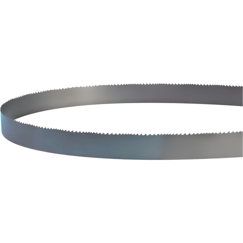 Welded Bandsaw Blade, Bi-Metal, 14' L x 1" W x 4 - 6 TPI Pathway Supply LP
