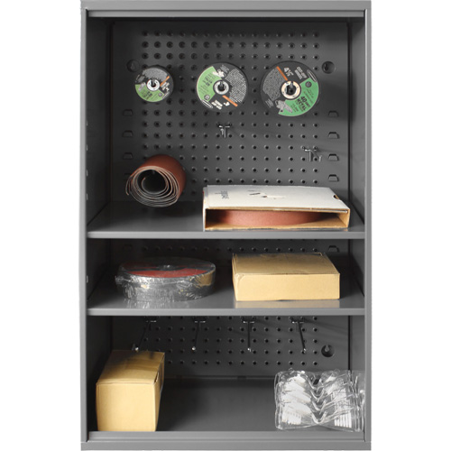 Abrasive Storage Cabinet with Pegboard, Steel, 19-7/8" x 14-1/4" x 32-3/4", Grey Pathway Supply LP
