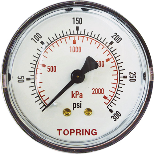 Replacement Pressure Gauge, 2" , 0 - 175 psi, Back Mount, Analogue Pathway Supply LP