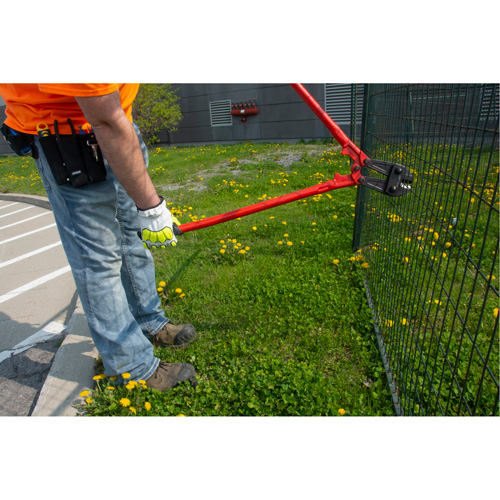 Bolt Cutters, 14" L, Center Cut Pathway Supply LP