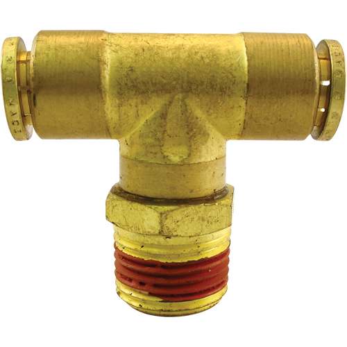 P.T.C. Swivel Male Branch Tees, Brass, 1/8" Pathway Supply LP