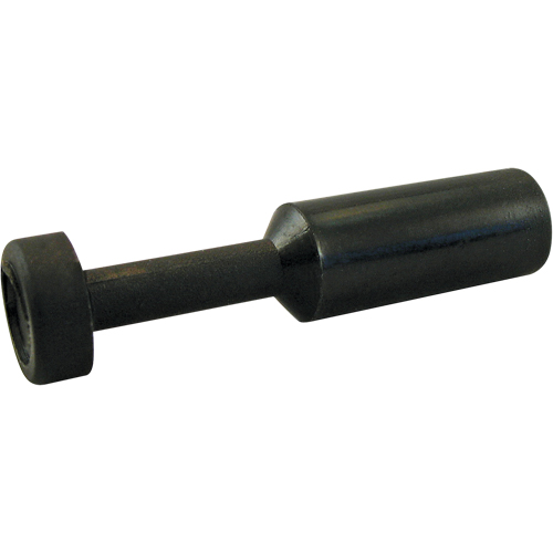 P.t.c. Plug Pathway Supply LP