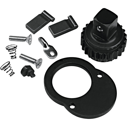 Ratchet Repair Kit Pathway Supply LP