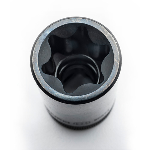 External Torx&reg; Socket Set, 1/2"/1/4"/3/8" Drive Pathway Supply LP
