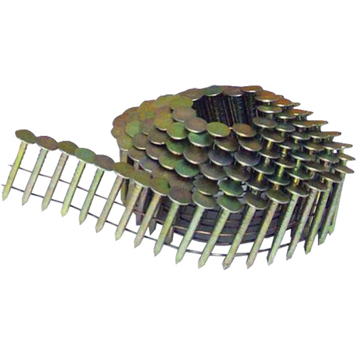 Clous &agrave; toiture &agrave; tige lisse en rouleaux &agrave; 15° Pathway Supply LP