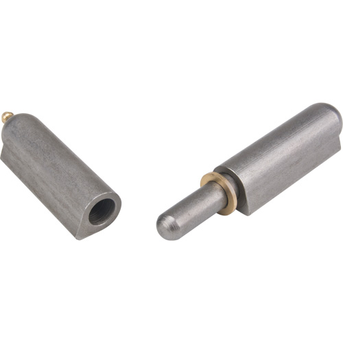 Charni&egrave;re &agrave; souder, 0,787" dia. x 5,906" lo, Acier doux a/goupille fixe en acier Pathway Supply LP