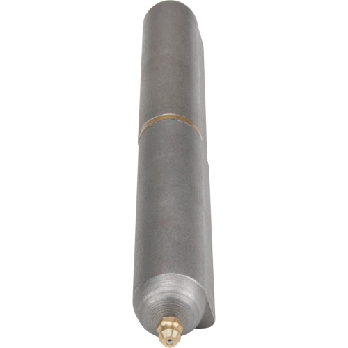 Weld-On Hinge, 0.906" Dia. x 7.874" L, Mild Steel w/Fixed Steel Pin Pathway Supply LP