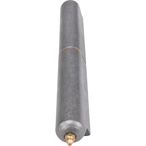 Weld-On Hinge, 1.102" Dia. x 10.236" L, Mild Steel w/Fixed Steel Pin Pathway Supply LP