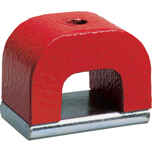 Alnico Horseshoe Magnet Pathway Supply LP