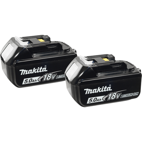 Blocs-piles, Lithium-ion, 18 V, 5,0 A Pathway Supply LP