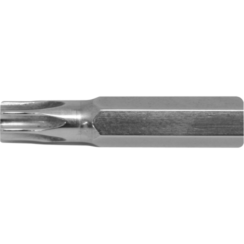 Stubby Multi-Bit Screwdriver -Replacement Bit, Torx, 15, 1/4" Drive Pathway Supply LP