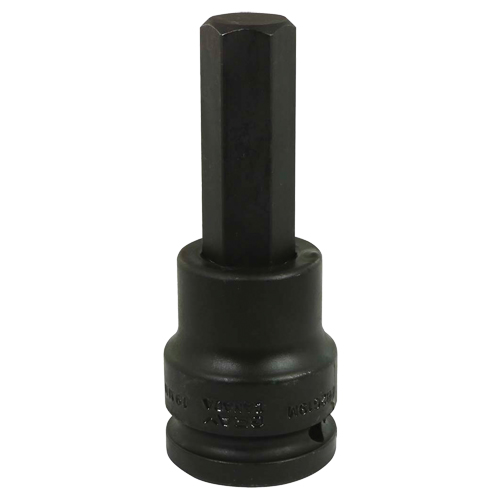 Impact Bit Socket, Hex, 19 mm x 3/4" Drive Pathway Supply LP
