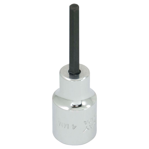 Embout de rechange, 5 mm x 1-1/5" lo, Prise 3/8" Pathway Supply LP