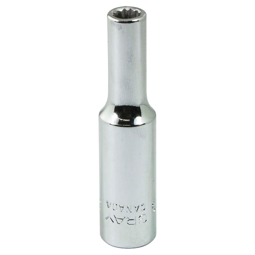 Socket, 3/16", 1/4" Drive, 12 Points Pathway Supply LP