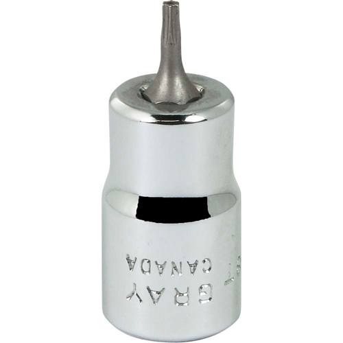 Douille &agrave; embout, Torx, T8 x 2-1/8" lo, Prise 3/8" Pathway Supply LP