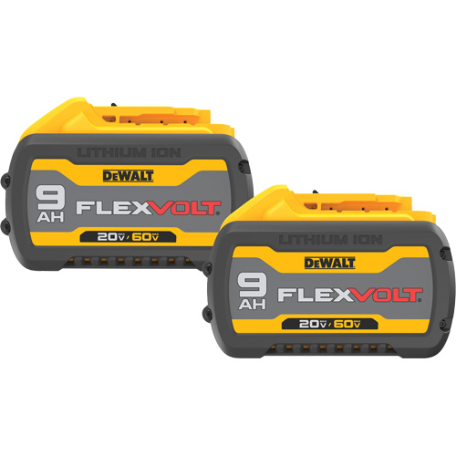 Blocs-piles FlexVolt, Lithium-ion, 20 V/60 V, 9 A Pathway Supply LP