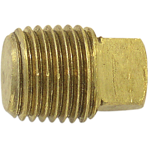 Pipe Plugs (Square Head), 1/8" Dia., Brass Pathway Supply LP