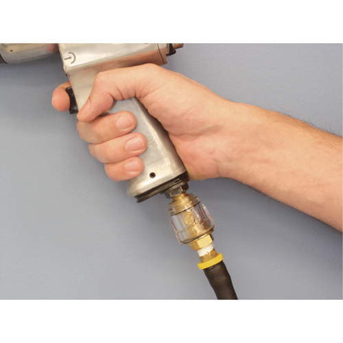 Lubrificateur - Usage standard, 1/4" NPT, Max. 120 PSI, Canalisation Pathway Supply LP