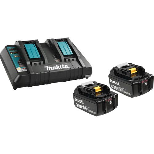 Li-Ion Battery & Dual-Port Charger Kit, 18 V, Lithium-Ion Pathway Supply LP
