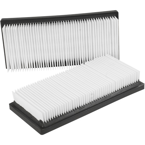 Main Flat Filters, Cartridge, Fits 12 US gal. Pathway Supply LP