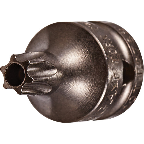 Embout &agrave; ins&eacute;rer, Torx inviolable, 8 x 3/4" lo, Prise 1/4" Pathway Supply LP
